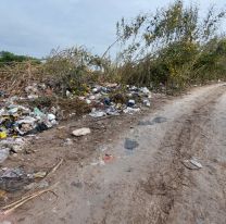 Basura por todas partes: El gran problema de Palpalá