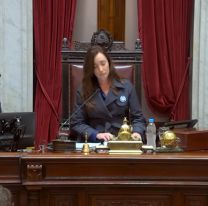 Arrancó el debate de la Ley Bases: Cómo votarán los senadores jujeños