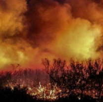 Jujuy en peligro por posibles incendios: el viento zonda podría arrasar