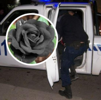 La "rosa negra" asustó a 4 salteñitos: se enfiestaron con una muchacha y pasó lo peor