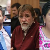 Con los votos de Quintar, Rizzotti y Sarapura se aprobó la Ley Bases