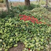 Por la caída de precios, productores de Jujuy tiraron verduras y frutas en la ruta 