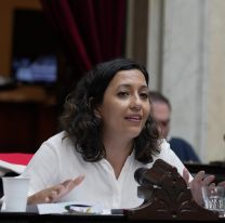 Leila Chaher cargó contra la Ley Bases: "Colocaron un cartel de Hotsale al país"