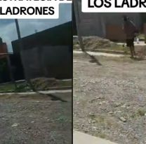 La nueva en Alto Comedero: "Se hacen los de cortar el pasto y te entran a chorear"