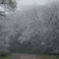 ¿Nieve en Jujuy? Advierten que se viene el fin de semana más frío