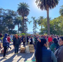 Reparten verduras gratis en Plaza Belgrano: Protesta de productores rurales
