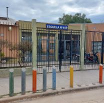 Escuela jujeña fue invadida por michis: "Hacen pis en todos lados"