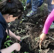 La muni de San Salvador lanzó un taller gratuito de huertas orgánicas