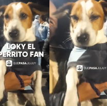 Conocé a "LOKY", el perrito jujeño fanático de la Selección