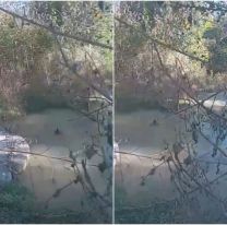 Se formó una laguna de líquidos cloacales en barrio Florida y Agua Potable no responde