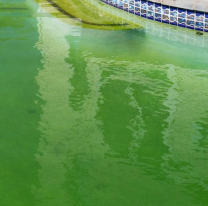 Jugaban a "quién dura más bajo el agua" y no salió más, tenía 8 añitos