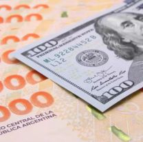 Se renueva el cupo para acceder al dólar oficial: quiénes pueden comprar US$200 en los bancos en agosto