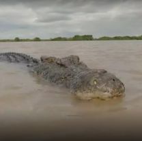 [HORROR] Salió a pescar, se resbaló en el agua y lo arrastró un cocodrilo