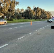 Quiso cruzar por la ruta y lo embistieron: espantoso accidente