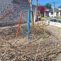 Solo en Palpalá: podaron un árbol y tiraron los restos arriba de juegos de una plaza