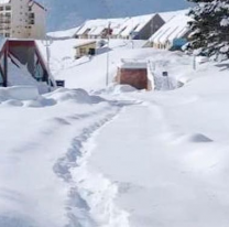 Se derritió la nieve en Argentina y encontraron lo peor: estaban todas muertas