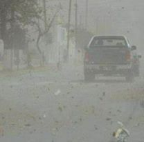 Alerta amarillo para Jujuy por vientos de más de 60 km por hora