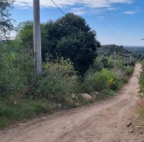 Encontraron sin vida a un nene que estaba desaparecido: tenía 3 años