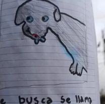 Jujeñito dibujó carteles de su perro perdido, se volvieron virales y logró recuperarlo