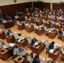 Se viene una nueva sesión de diputados en Jujuy y será polémica: Los motivos