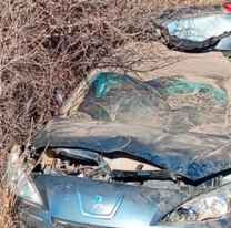 Familia chocó y volcó en la autopista: falleció una nenita de 11 años