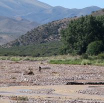 Conmoción en Jujuy:  encontraron un hombre muerto cerca del Río Grande