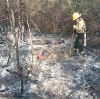 Jujuy: el fuego arrasó más de 140 hectáreas en la última semana