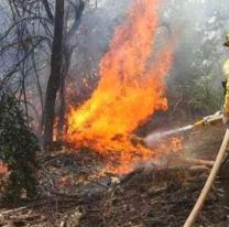 Alerta extrema por incendios forestales en Jujuy: la terrible advertencia del SMN 