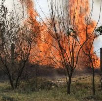 Terrible incendio genera pánico en Palpalá: Luchan para controlarlo