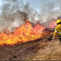 Jujuy perdió 580 hectáreas por incendios: "El 90% fueron intencionales"