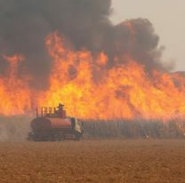 Jujuy en alerta extrema por las altas temperaturas y el peligro de incendios: ¿Hasta cuándo?