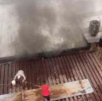 Murió el abuelito al que se le prendió fuego la casa