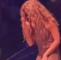 Escándalo en un show de Shakira: un hombre quiso meter un celular abajo de su vestido