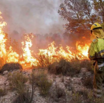 Más de 1500 hectáreas arrasadas por incendios en Jujuy