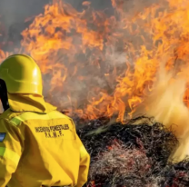 En la última semana se registraron 37 incendios forestales en Jujuy