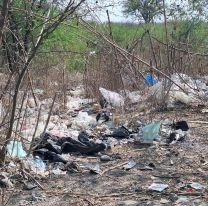  Alerta por el creciente basural en el margen del Río Los Alisos