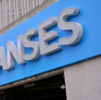 ANSES dio de baja abeneficiarios de SUAF: ¿Qué pasó?