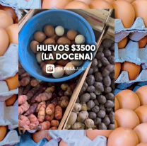 Los huevos más caros del país son los de Jujuy, un escándalo