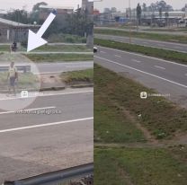 No usan las pasarelas: crece la preocupación por la ruta 66 