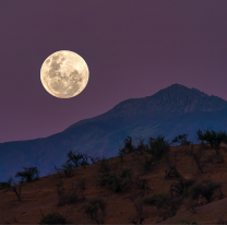 ¿Cómo te sentís? Puede ser por la luna. Mañana 17 de octubre es un día clave