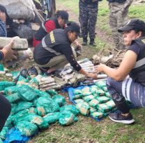 Investigan a una organización que se dedicaba a la venta de coca y simulaban ser campesinos