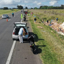 ¿Necesidad o viveza? Volcó un camión de pollos y lo dejaron pelado 