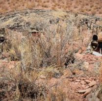 Enviarán al Ejército para controlar las fronteras del norte: qué pasará en Jujuy