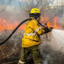 Los incendios forestales bajaron un 80% en Jujuy