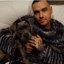 El último deseo de Liam Payne en caso de que le ocurriera una desgracia