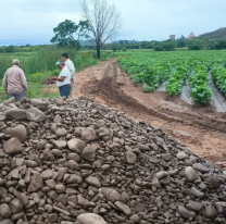 Por un canal tapado, productores jujeños perdieron todo