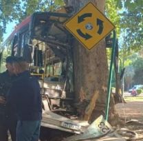 "Tranquilos que los voy a salvar": las últimas palabras del colectivero que murió en un accidente