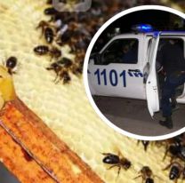 Fueron a desalojar una casa y los atacaron con abejas: varios policías heridos