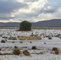 Increíble: el pueblito de Jujuy que apareció blanco en plena primavera