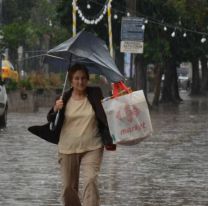 El MSN emitió un  Alerta Amarillo para Jujuy: ¿A qué hora comienza la tormenta?